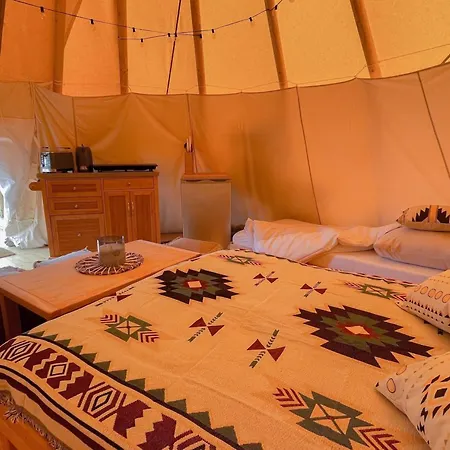Tipi Illinois Falkenburg